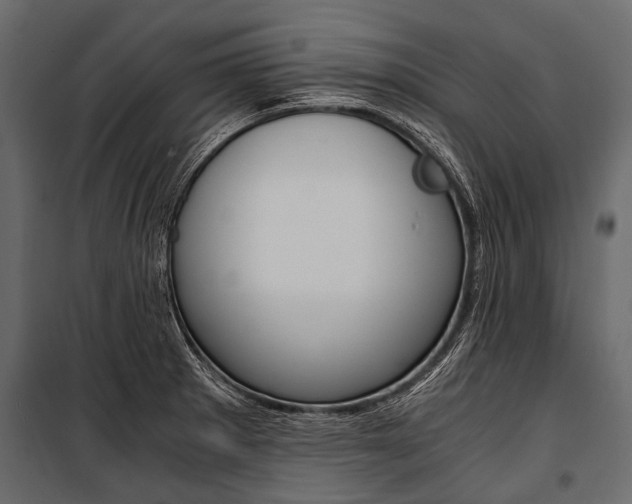X0000100931281200806241129