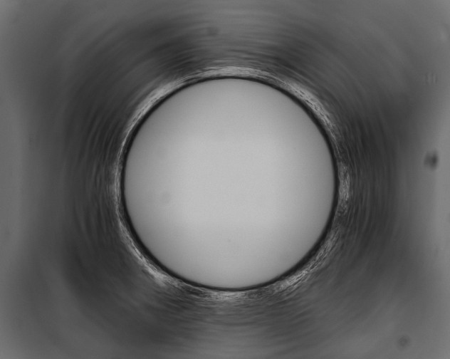 X0000100931282200806241129