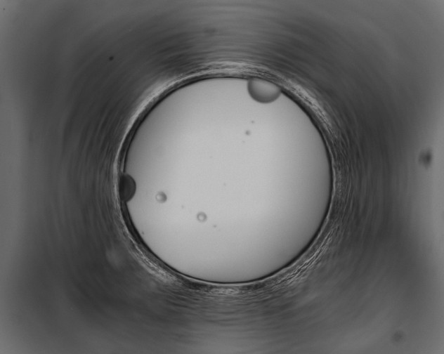X0000100931283200806241129