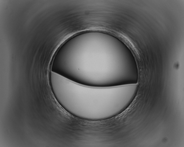 X0000100931284200806241129