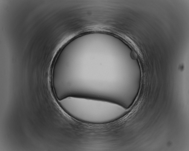X0000100931285200806241129