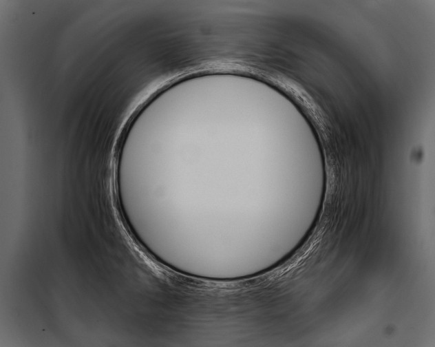 X0000100931286200806241129