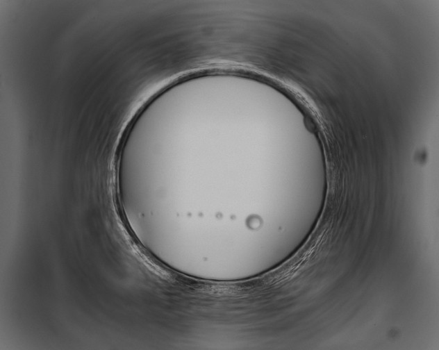 X0000100931287200806241129