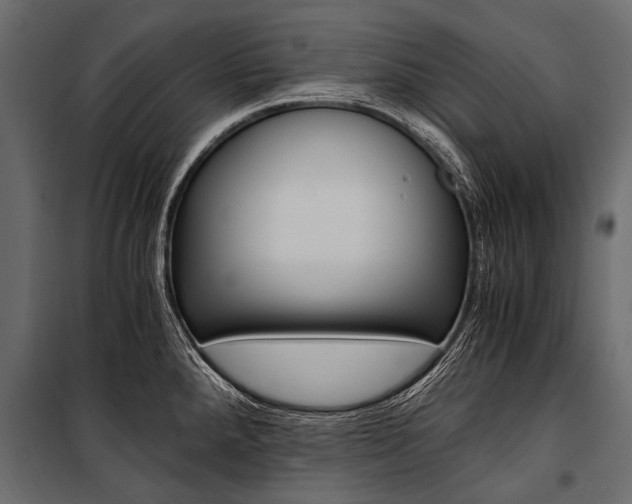 X0000100931288200806241129