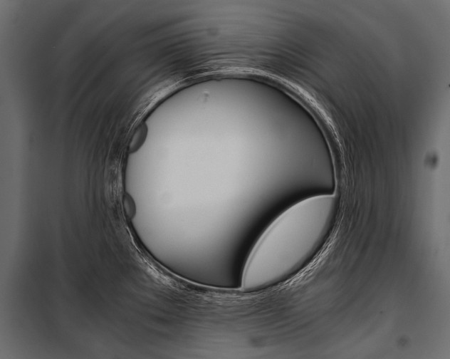 X0000100931289200806241129