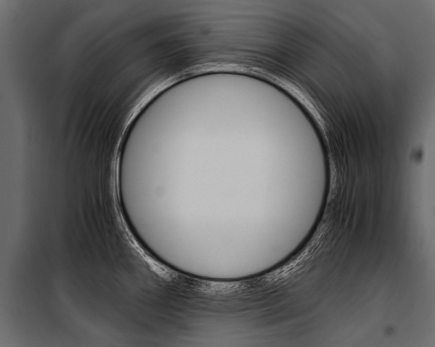 X0000100931290200806241129