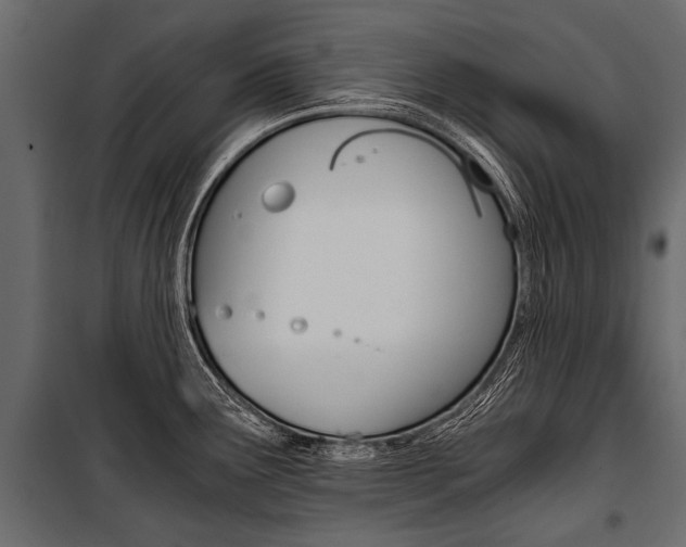 X0000100931291200806241129
