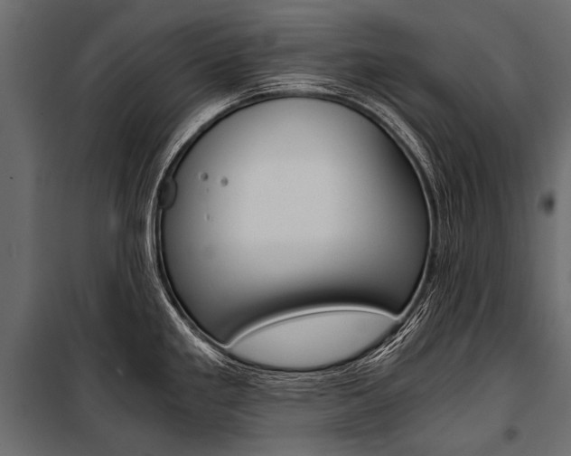 X0000100931293200806241128