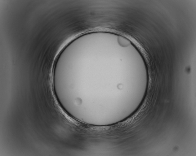 X0000100931294200806241128