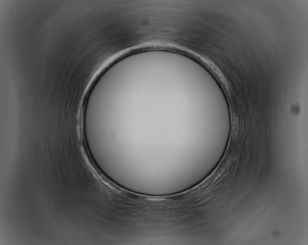 X0000100931295200806241128