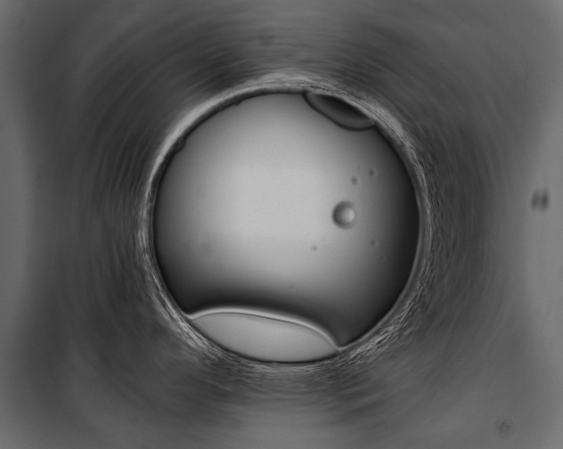 X0000100931296200806241128