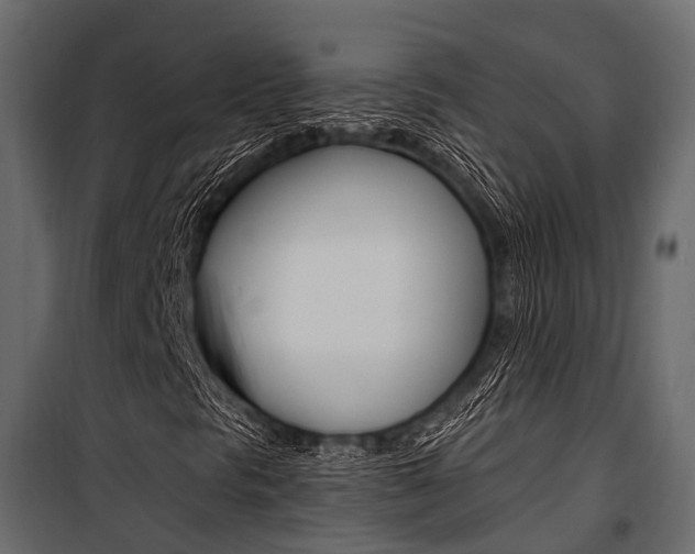 X0000100931297200806241128