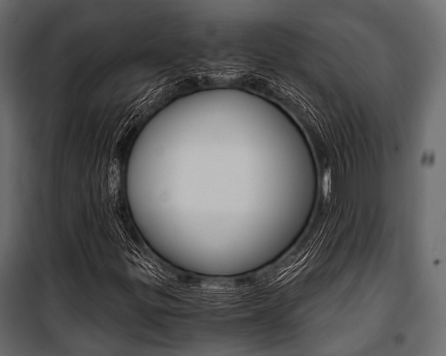 X0000100931299200806241128