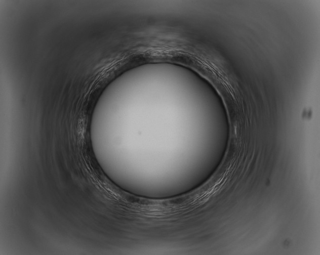 X0000100931300200806241128
