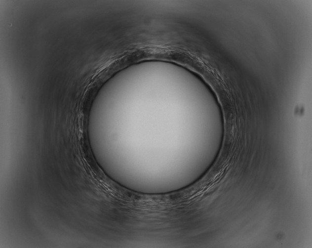 X0000100931301200806241128