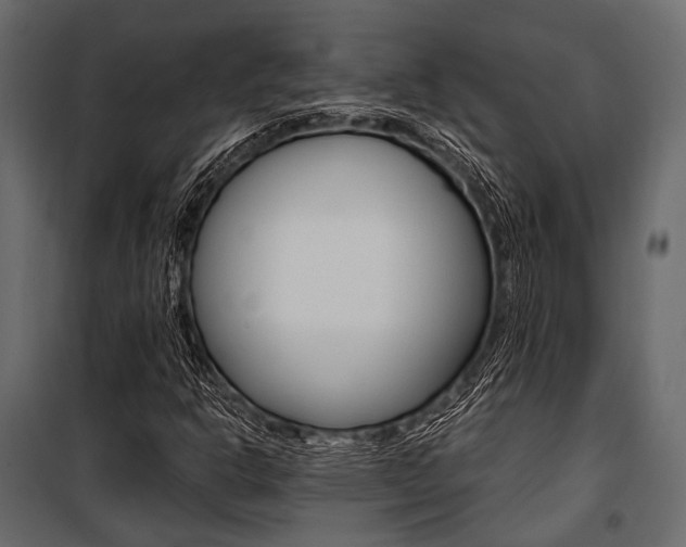 X0000100931302200806241128