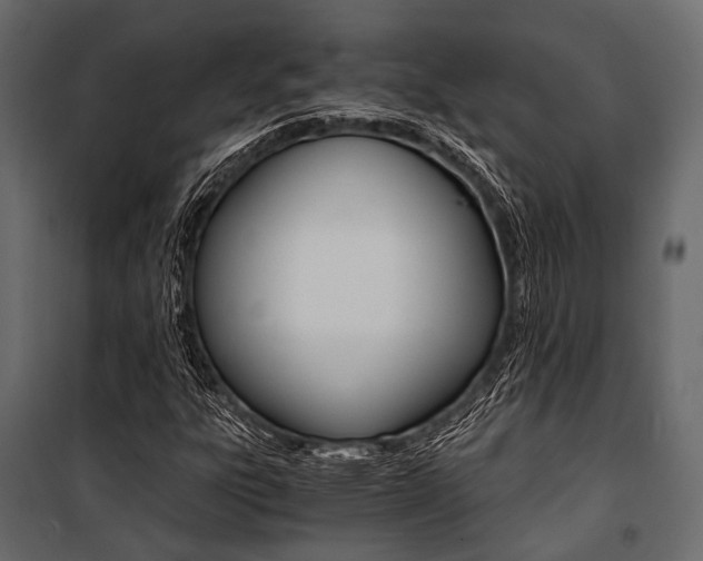 X0000100931303200806241128