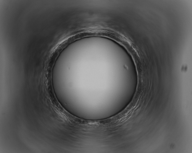 X0000100931304200806241128