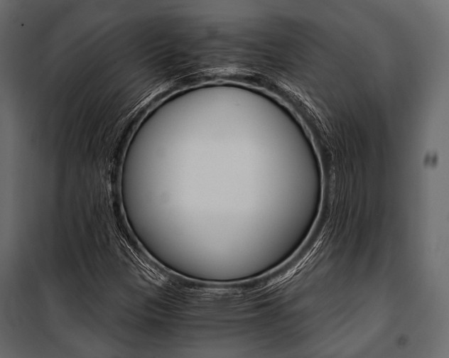 X0000100931305200806241128