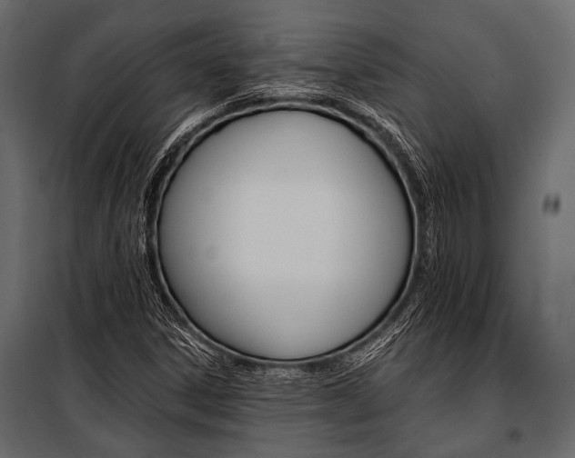 X0000100931306200806241128