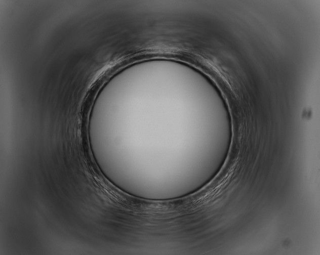 X0000100931307200806241128