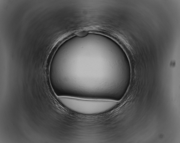 X0000100931308200806241128
