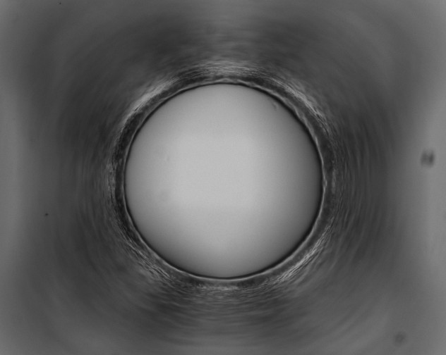 X0000100931309200806241128