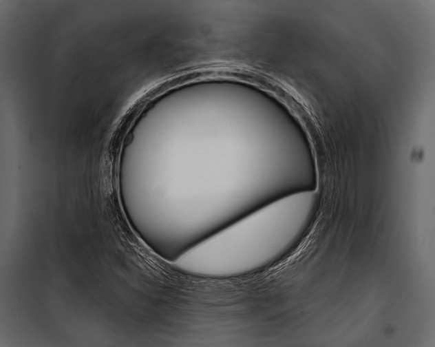X0000100931310200806241128