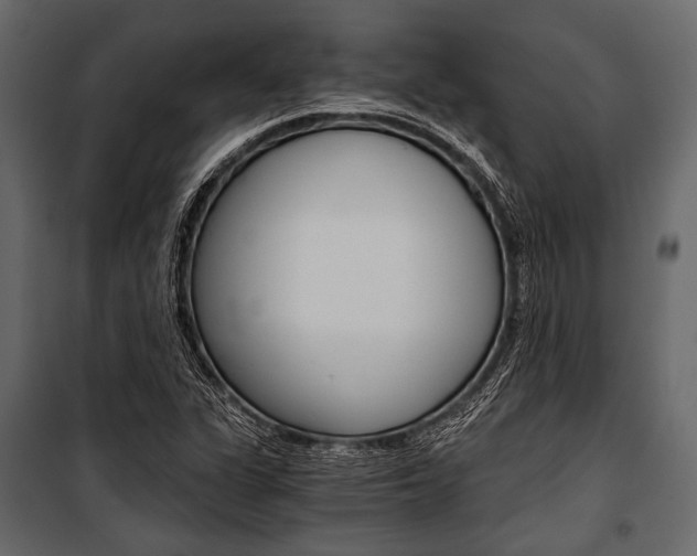 X0000100931311200806241128