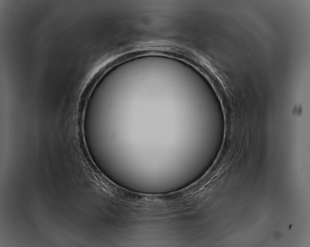 X0000100931312200806241128
