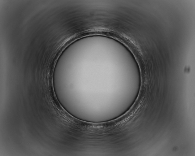 X0000100931313200806241128