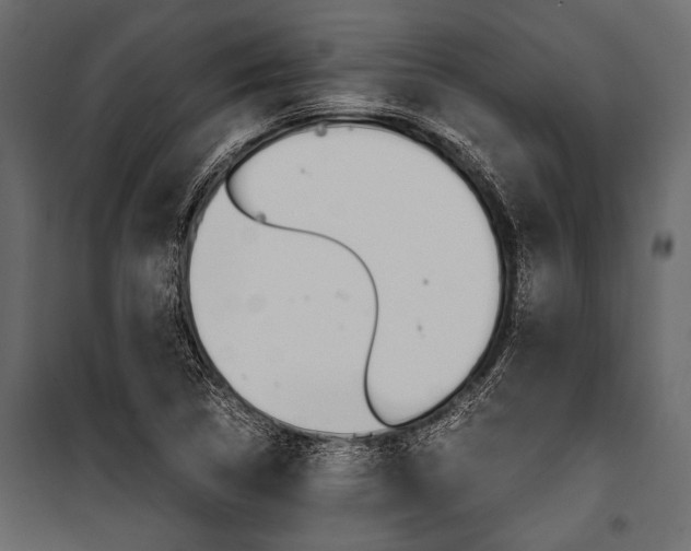 X0000100931314200806241128