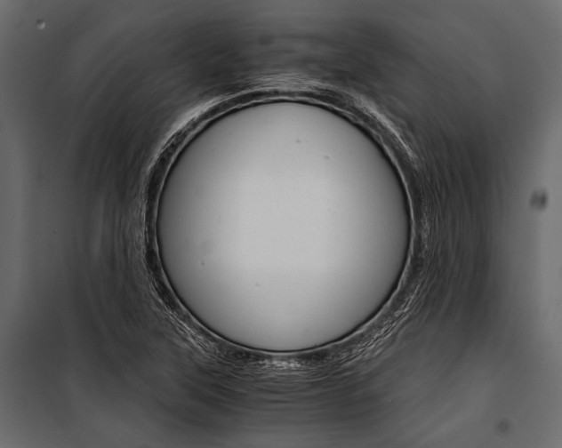 X0000100931315200806241128