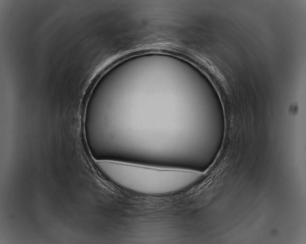 X0000100931316200806241128