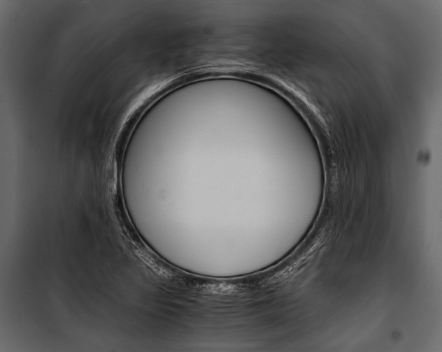 X0000100931317200806241128