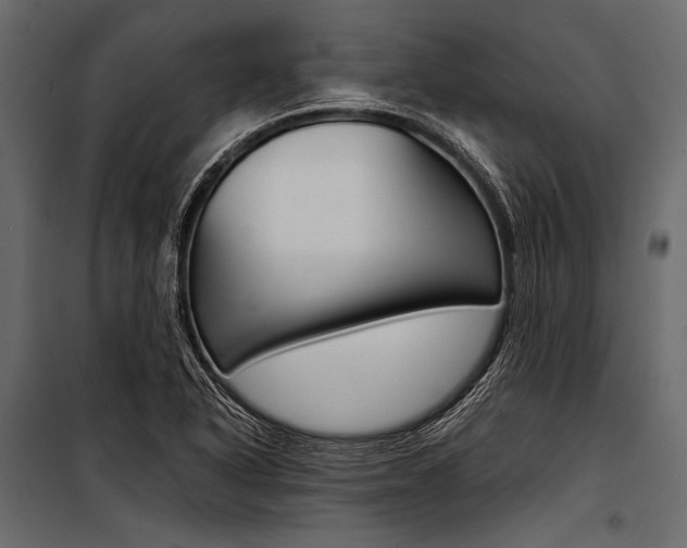 X0000100931318200806241128