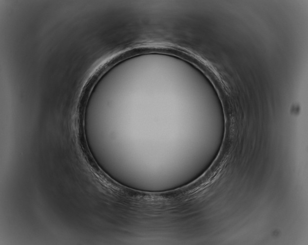 X0000100931319200806241128