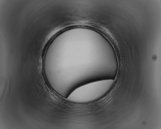 X0000100931320200806241128