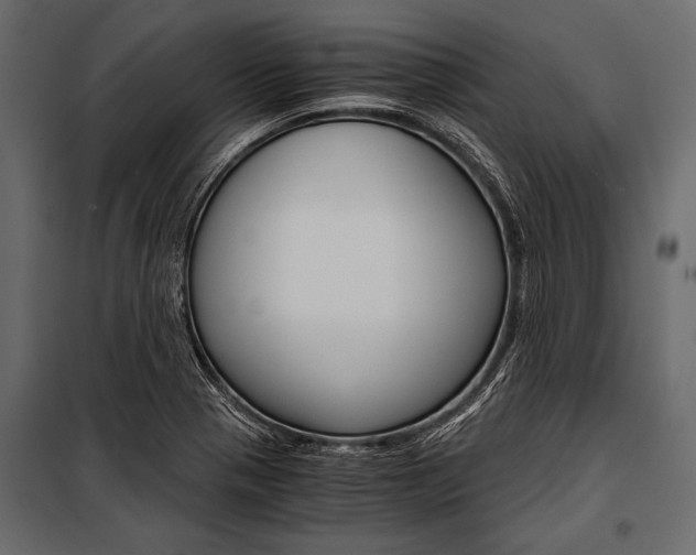 X0000100931321200806241128