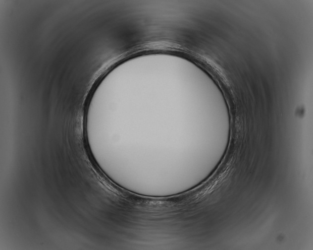 X0000100931322200806241128