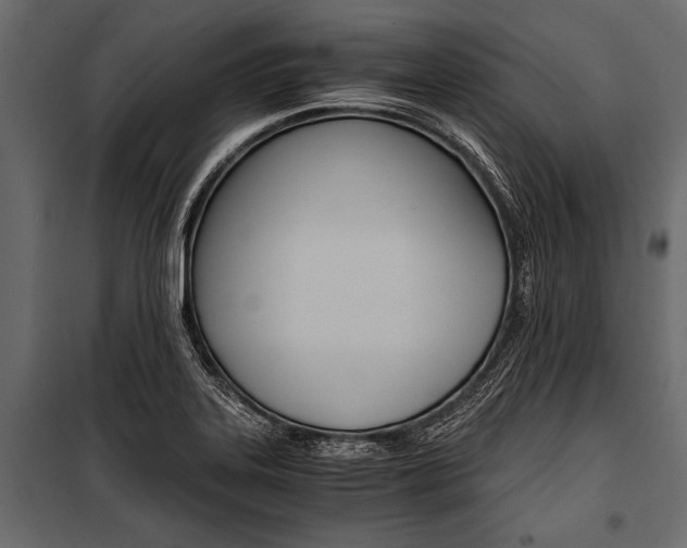 X0000100931323200806241128