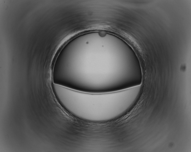 X0000100931324200806241128