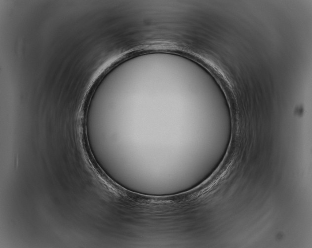 X0000100931325200806241128