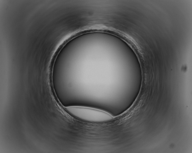 X0000100931326200806241128