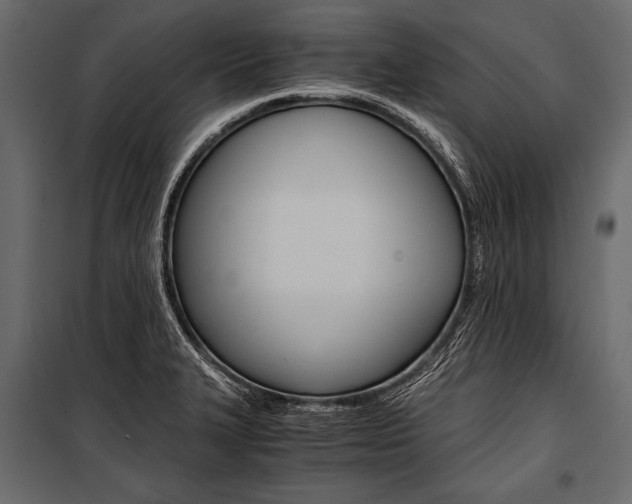 X0000100931327200806241128