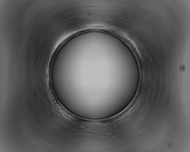 X0000100931328200806241128