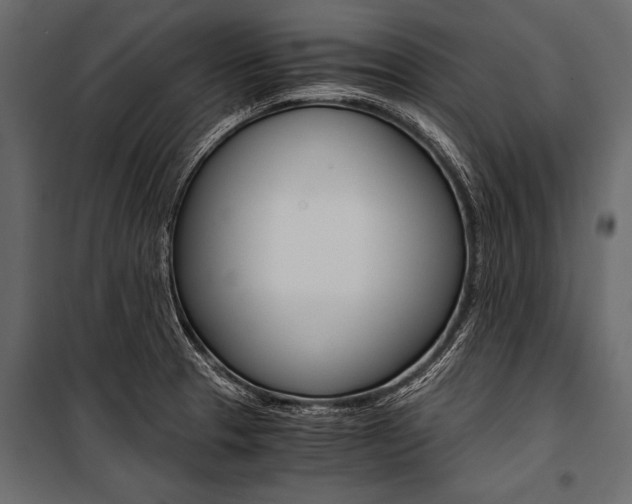 X0000100931329200806241128
