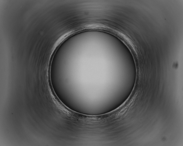 X0000100931330200806241128