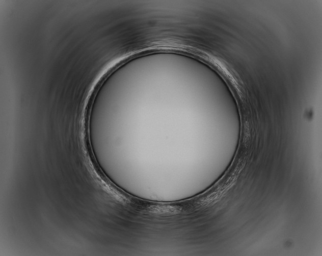 X0000100931331200806241128