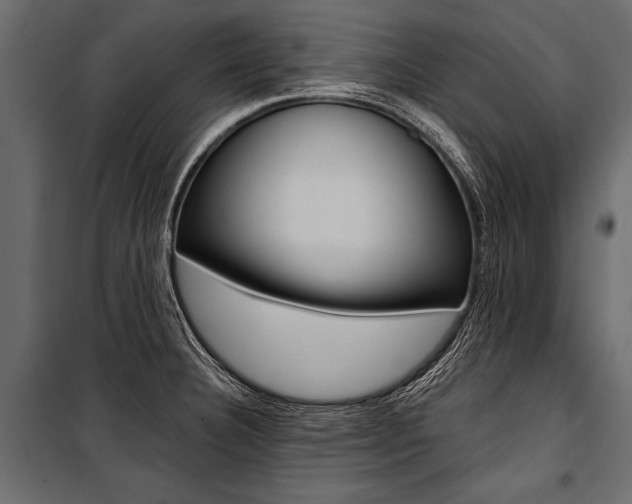 X0000100931332200806241128